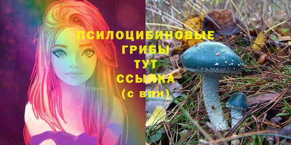 ALPHA PVP Нея