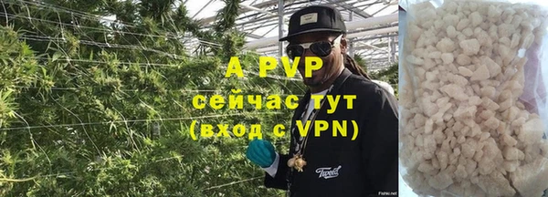 ГАЛЛЮЦИНОГЕННЫЕ ГРИБЫ Коряжма