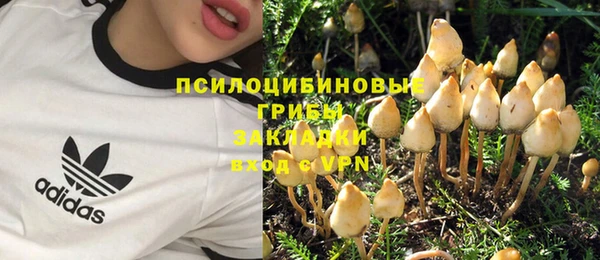 2c-b Новодвинск