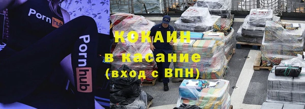 дурь Няндома