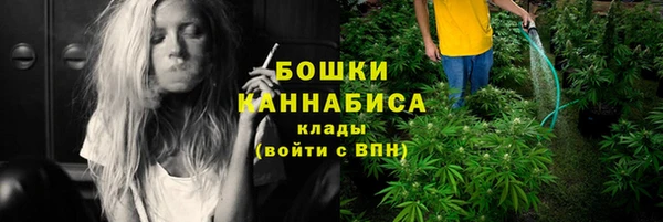 марки nbome Новозыбков