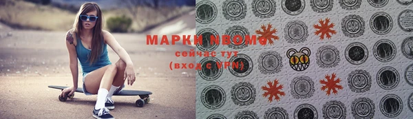 прущие грибы Болотное