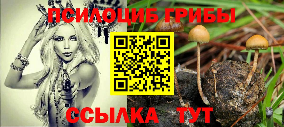 Новокубанск  Псилоцибиновые грибы Psilocybine cubensis  Вход с VPN  Галлюциногенные грибы прущие грибы 