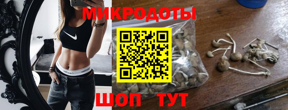 Псилоцибиновые грибы Magic Shrooms Новокубанск