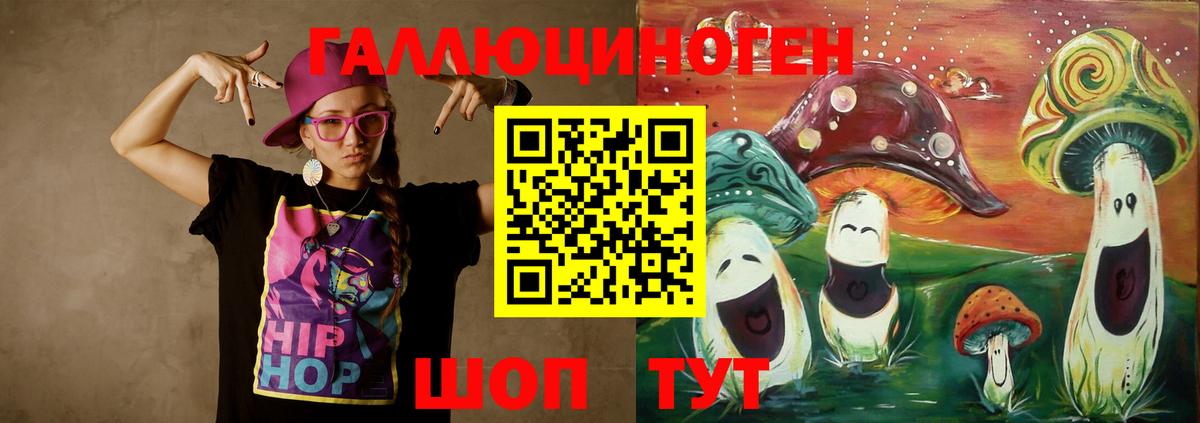 Псилоцибиновые грибы Psilocybe Новокубанск